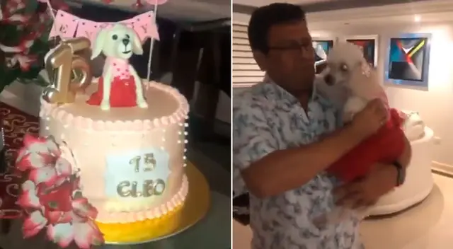 La perrita bailó junto a su dueño. La perrita bailó junto a su dueño.