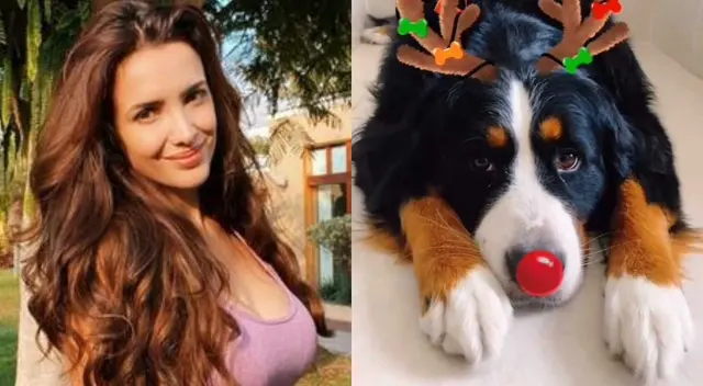 La modelo Rosángela Espinoza habría llegado a un acuerdo con su expareja Víctor Hugo Cornejo, quien le devolvió a su mascota Bianca.