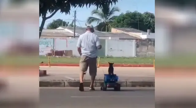 Hombre pasea a su perrito dentro de un carro de juguete Hombre pasea a su perrito dentro de un carro de juguete