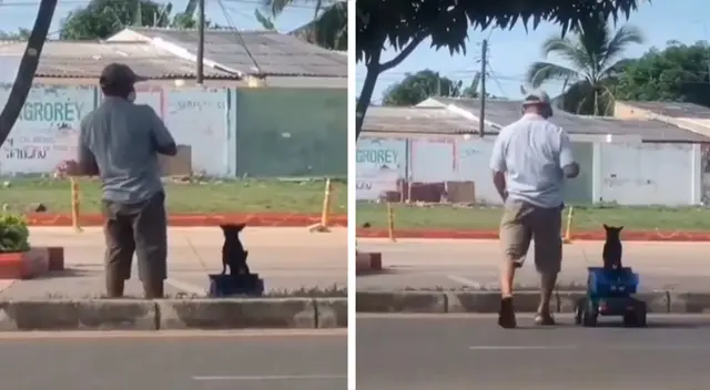 Hombre pasea a su perrito dentro de un carro de juguete Hombre pasea a su perrito dentro de un carro de juguete