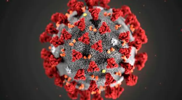Segunda nueva cepa de coronavirus es detectada en Reino Unido. Segunda nueva cepa de coronavirus es detectada en Reino Unido.