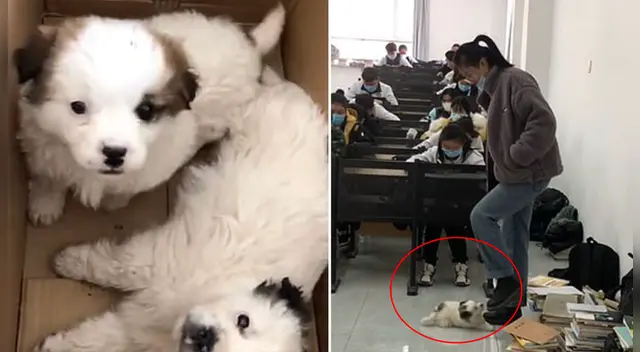 El clip cuenta con miles de reproducciones en YouTube. El clip cuenta con miles de reproducciones en YouTube.