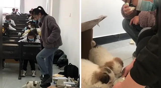 La emotiva escena se ha robado el corazón de miles de usuarios en las redes sociales. La emotiva escena se ha robado el corazón de miles de usuarios en las redes sociales.