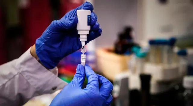 El estudio indicó que los cambios en el virus generó un explosivo aumento de casos al sur de Chile.