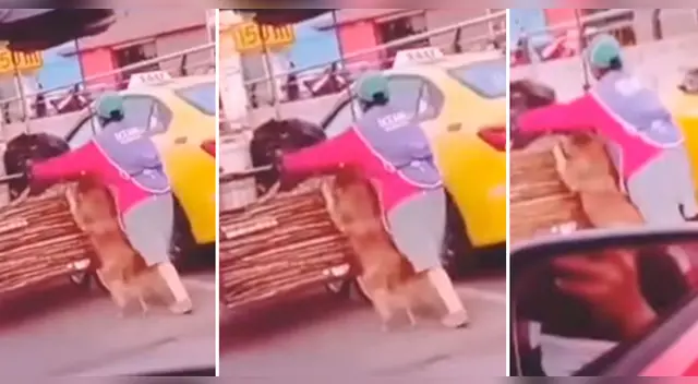 El clip cuenta con miles de reproducciones en TikTok.