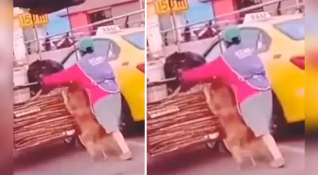 La tierna escena cautivó a los usuarios en las redes sociales.