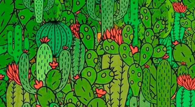 Pon a prueba tu agilidad visual y trata de resolver este desafío de Facebook.