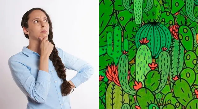 Pon a prueba tu agilidad visual y trata de resolver este desafío de Facebook.