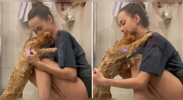 La tierna escena cautivó a los usuarios en las redes sociales. La tierna escena cautivó a los usuarios en las redes sociales.