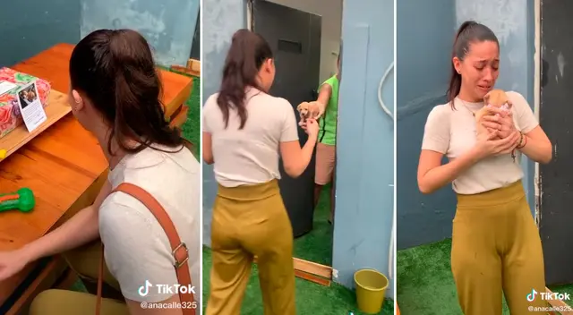 La joven no pudo contener las lágrimas al ver al pequeño cachorro. La joven no pudo contener las lágrimas al ver al pequeño cachorro.