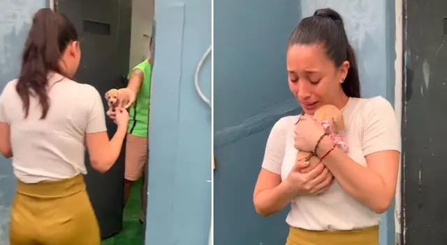 La joven no pudo contener las lágrimas al ver al pequeño cachorro. La joven no pudo contener las lágrimas al ver al pequeño cachorro.