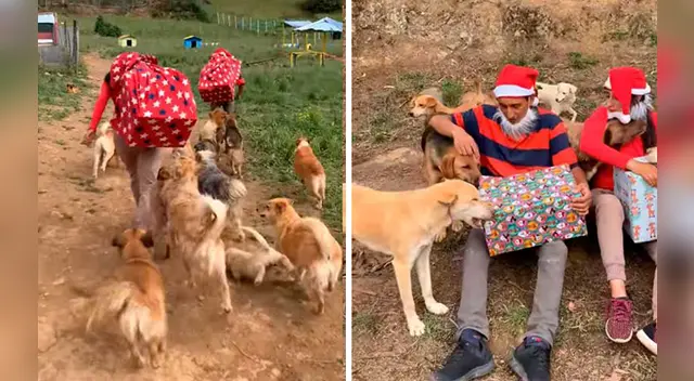 La tierna escena cautivó a los usuarios en las redes sociales.