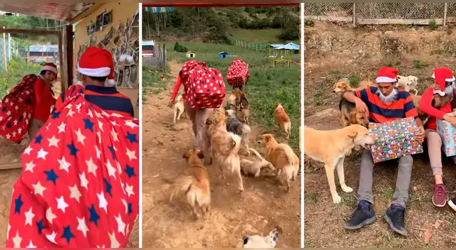 El clip cuenta con miles de reproducciones en TikTok.