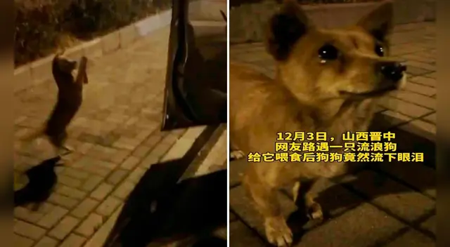 El clip cuenta con miles de reproducciones en YouTube.