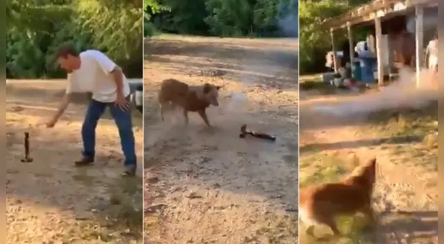 El clip cuenta con miles de reproducciones en TikTok. El clip cuenta con miles de reproducciones en TikTok.