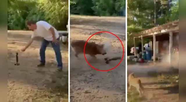 La escena causó la risa de varios usuarios en las redes sociales. La escena causó la risa de varios usuarios en las redes sociales.