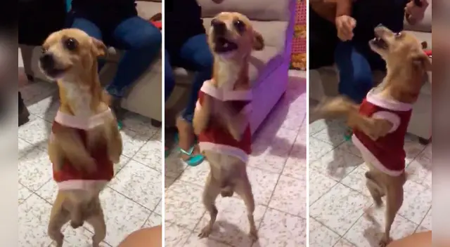 El clip cuenta con miles de reproducciones en TikTok.