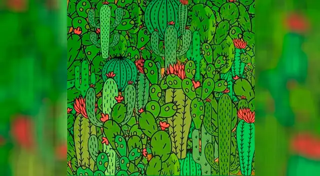 Pon a prueba tu agilidad visual y trata de resolver este desafío de Facebook.