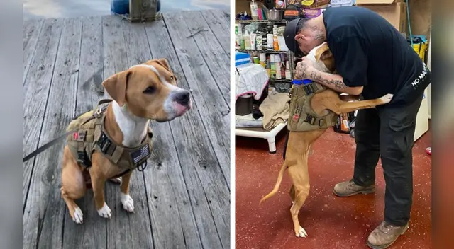 Las imágenes han cautivado a los usuarios en las redes sociales. Las imágenes han cautivado a los usuarios en las redes sociales.