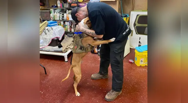 La escena se ha robado el corazón de miles de usuarios en las redes sociales. La escena se ha robado el corazón de miles de usuarios en las redes sociales.