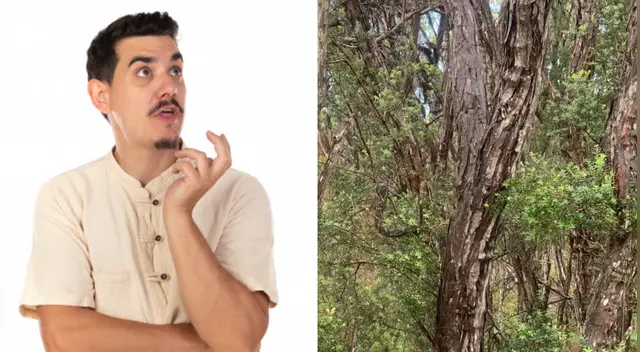 Solo tienes 10 segundos para dar con la respuesta.