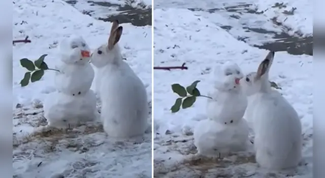 La escena causó la risa de varios usuarios en las redes sociales.