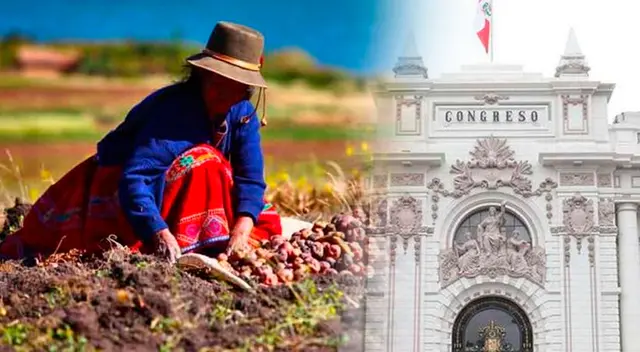 De acuerdo al texto de la nueva ley, jornal diario sería de S/ 54.20