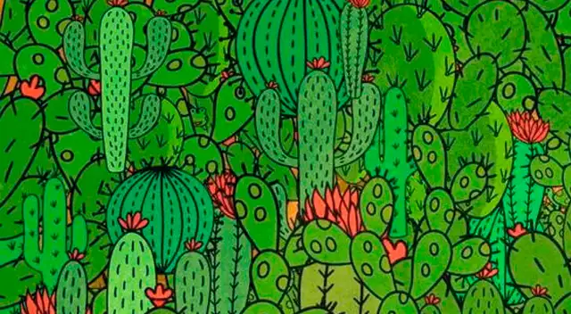 Pon a prueba tu agilidad visual y trata de resolver este desafío de Facebook.