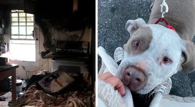 Keith Walker es el hombre que salvó a los animales del refugio