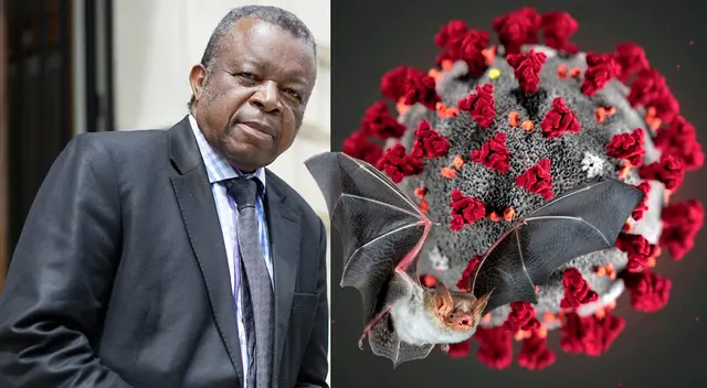 Desde el descubrimiento del virus del Ébola en las selvas tropicales de África, Muyembe ha estado en la primera línea de la búsqueda de nuevos patógenos.