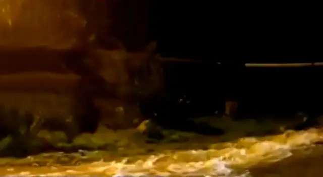 Ante la formación de neblinas en la Carretera Central, muchos transportistas decidieron regresar a Chosica al no poder divisar con claridad la vía.