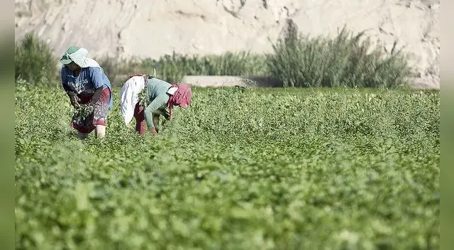 Pleno del Congreso dio luz verte al nuevo texto sustitutorio de la ley agraria.