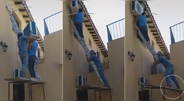 La escena causó el asombro de varios usuarios en las redes sociales. La escena causó el asombro de varios usuarios en las redes sociales.