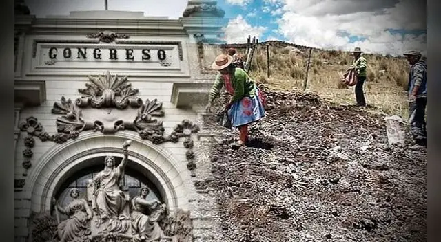 El Parlamento aún no llega a un acuerdo sobre la nueva Ley Agraria.