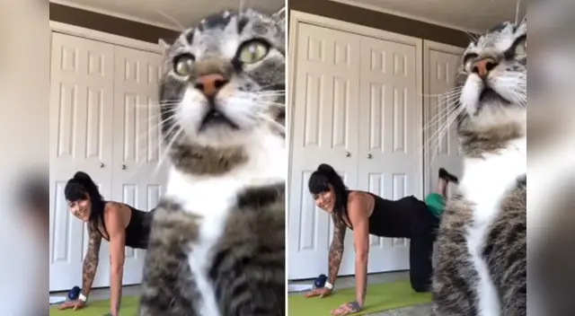 La divertida escena causó sensación en las redes sociales.