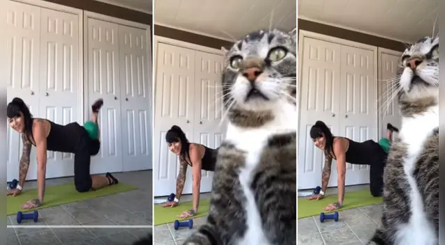 El clip cuenta con miles de reproducciones en YouTube.