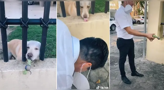 La tierna escena cautivó a los usuarios en las redes sociales. La tierna escena cautivó a los usuarios en las redes sociales.