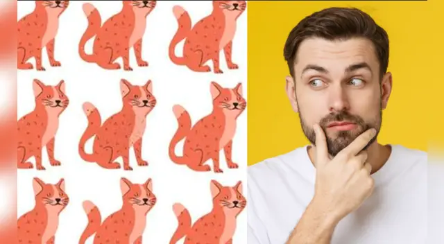 Tienes pocos segundos para dar con la respuesta.