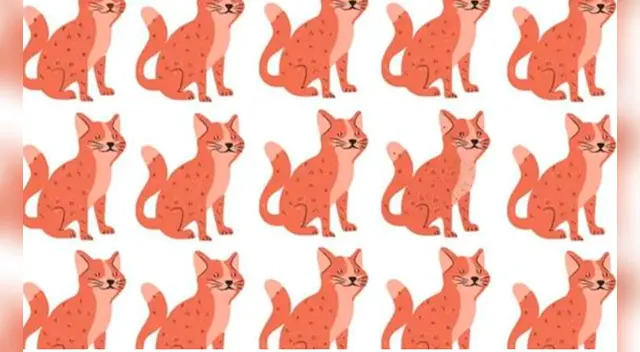 Tienes pocos segundos para dar con la respuesta.