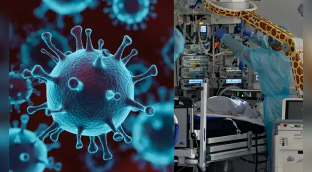 La nueva cepa de coronavirus puede ser un 70% más contagiosa. La nueva cepa de coronavirus puede ser un 70% más contagiosa.