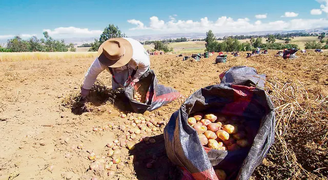 Entre los puntos más importantes se encuentran el cobro de la CTS, el seguro social y la cantidad de horas de trabajo diario. Entre los puntos más importantes se encuentran el cobro de la CTS, el seguro social y la cantidad de horas de trabajo diario.