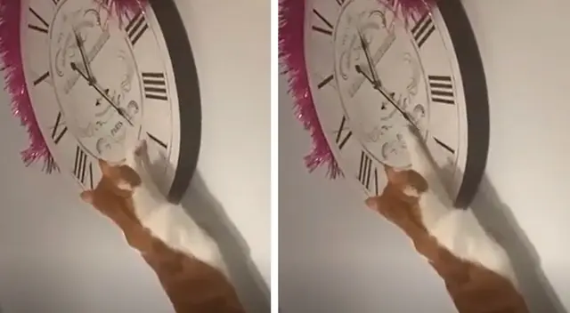 Joven descubre quien era la culpable de que su reloj nunca diera la hora correcta Joven descubre quien era la culpable de que su reloj nunca diera la hora correcta