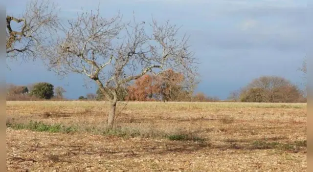 Tienes pocos segundos para dar con la respuesta. Tienes pocos segundos para dar con la respuesta.
