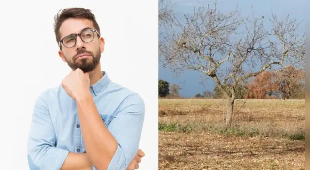 El challengue de Facebook ha causado sensación en las redes sociales. El challengue de Facebook ha causado sensación en las redes sociales.