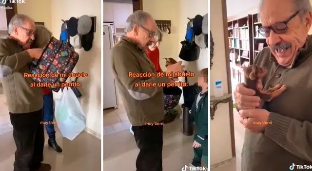 La tierna reacción de un anciano al recibir un chihuahua como regalo La tierna reacción de un anciano al recibir un chihuahua como regalo