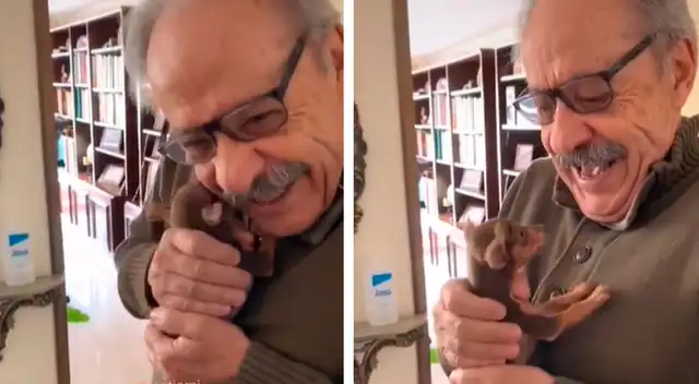 La tierna reacción de un anciano al recibir un chihuahua como regalo La tierna reacción de un anciano al recibir un chihuahua como regalo