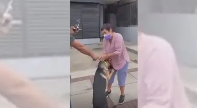 Maltrato animal en Miraflores.