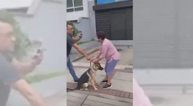 Maltrato animal en Miraflores.