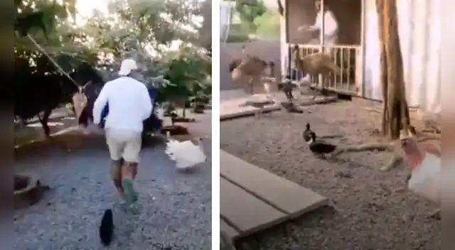 El clip cuenta con miles de reproducciones en TikTok.