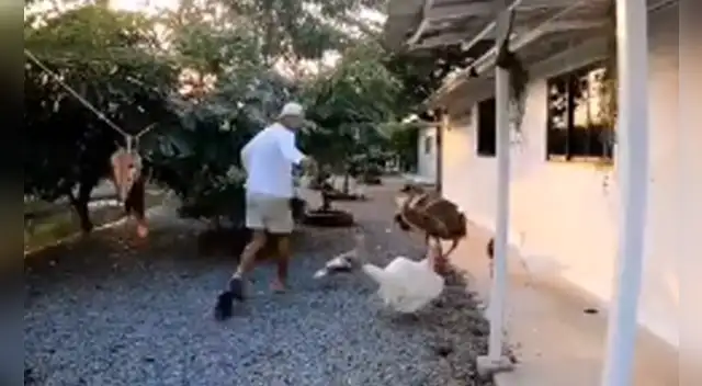 La escena causó la risa de varios usuarios en las redes sociales.